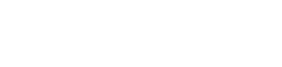 Executive Report logo